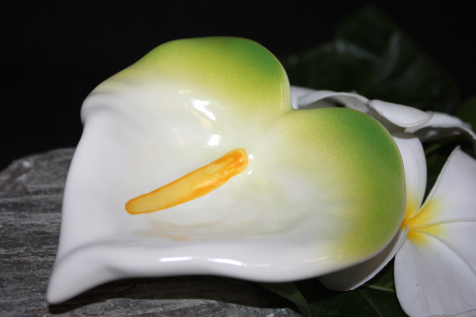 Anthurium White Ceramic Bowl 5" - Hawaii | #TCABSW Anthurium White Ceramic Bowl 5" - Hawaii | #TCABSW
